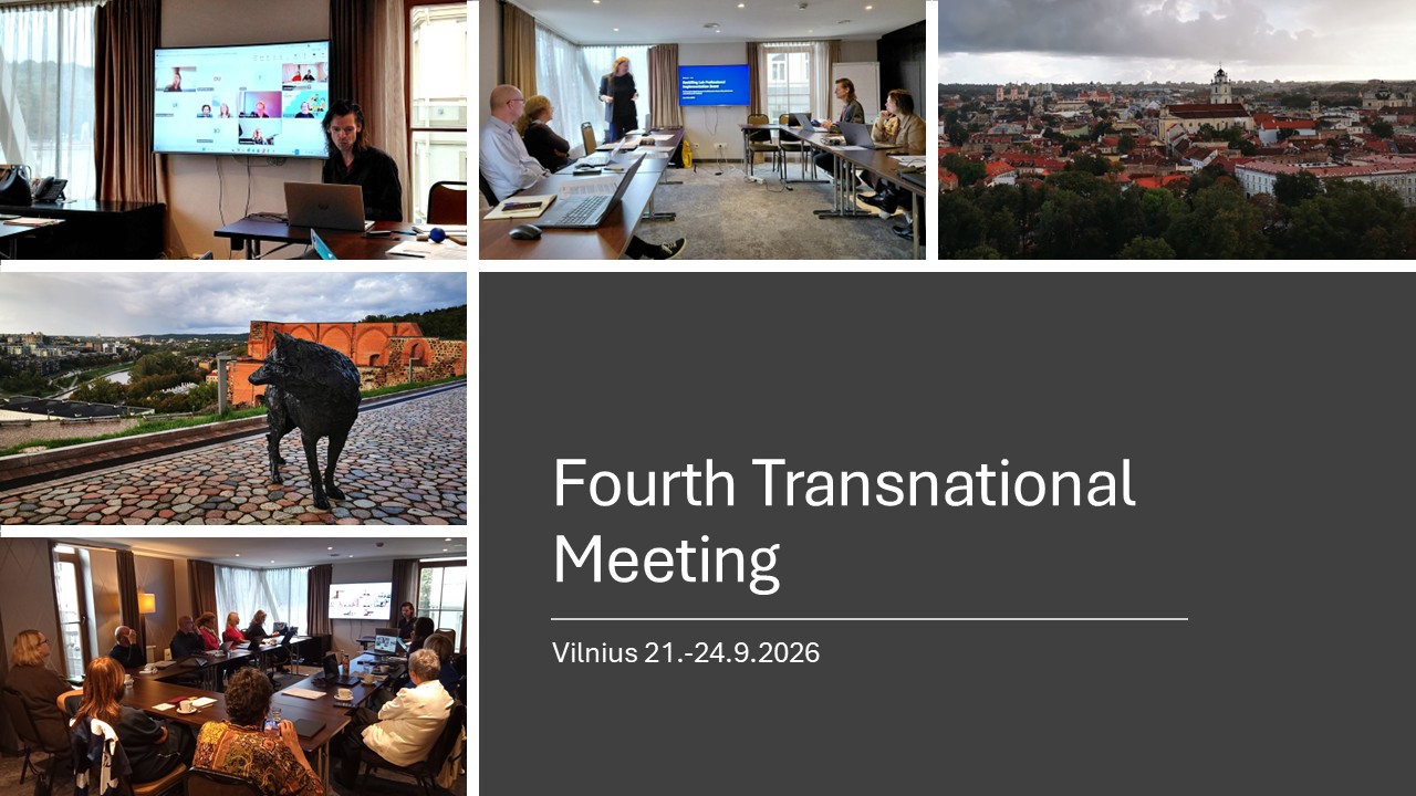 Transnational Meeting 4:  Vilnius